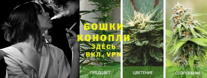 цена   Андреаполь  МАРИХУАНА SATIVA & INDICA 